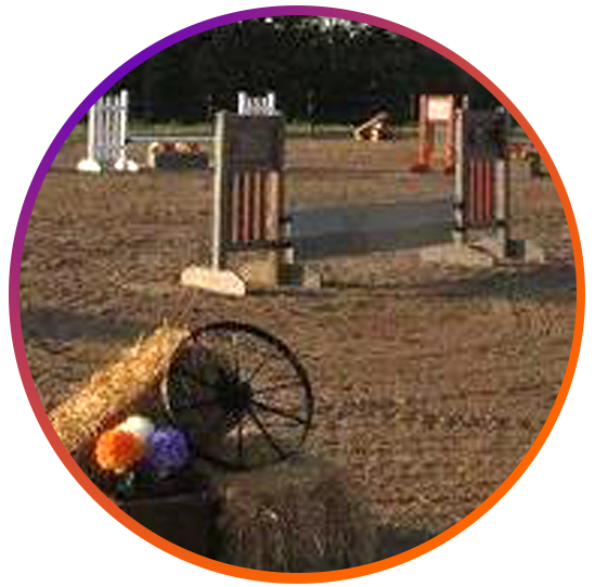 Horseback Riding Lessons at ADK Stables near Kingston and Belleville Ontario