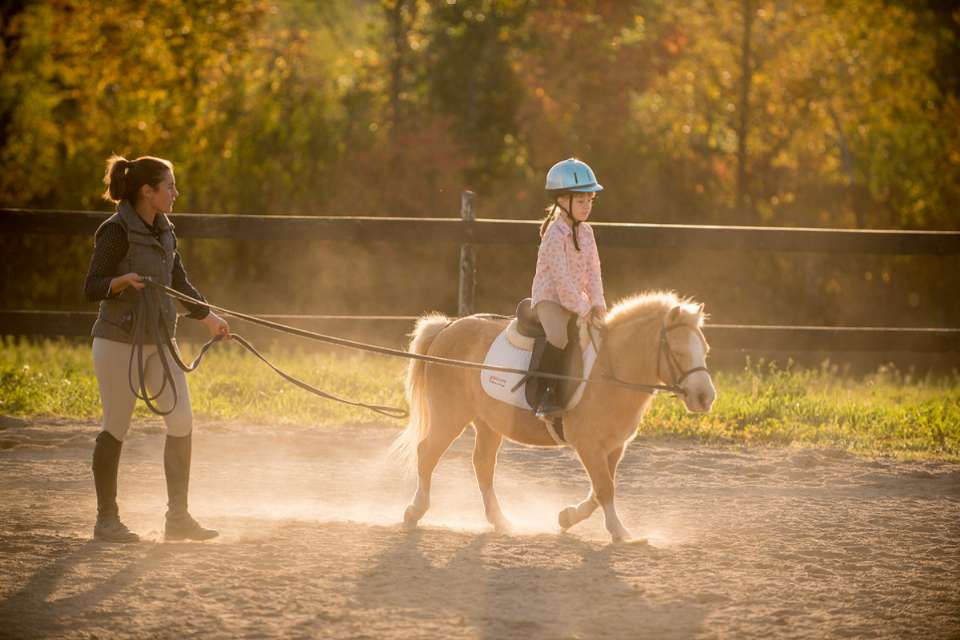 Horseback Riding Lessons Hunter Jumper ADK Stables Kingston Belleville