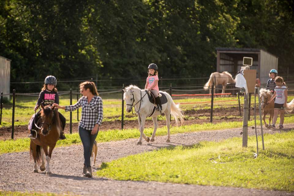 Horse Riding Summer Day Camps Adk Stables Kingston Napanee Stone Mills